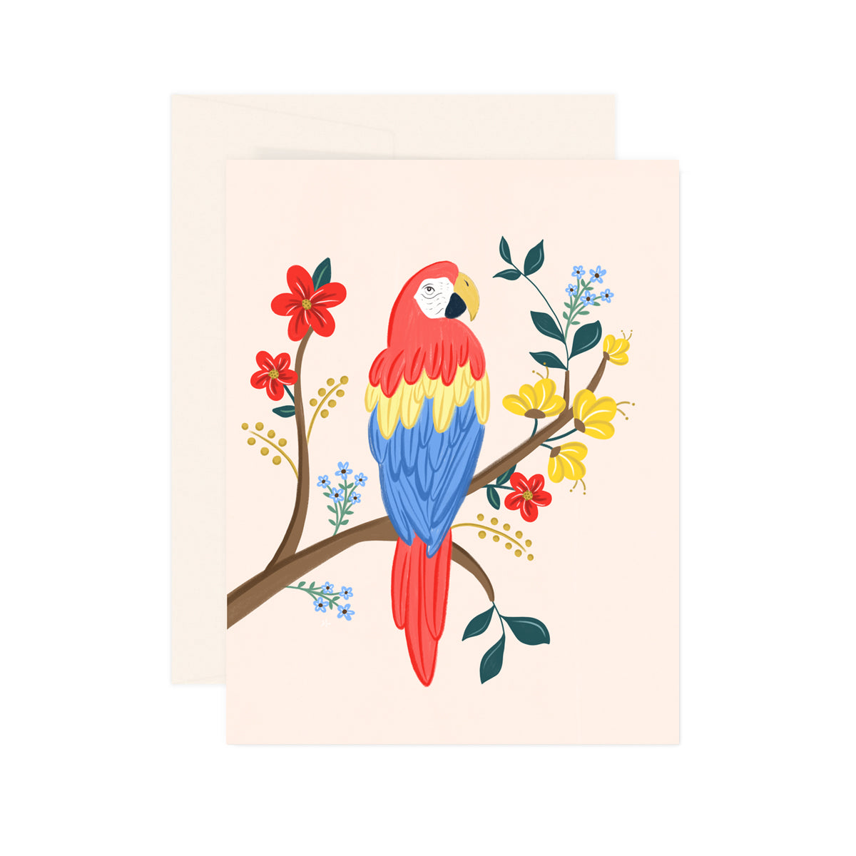 Macaw