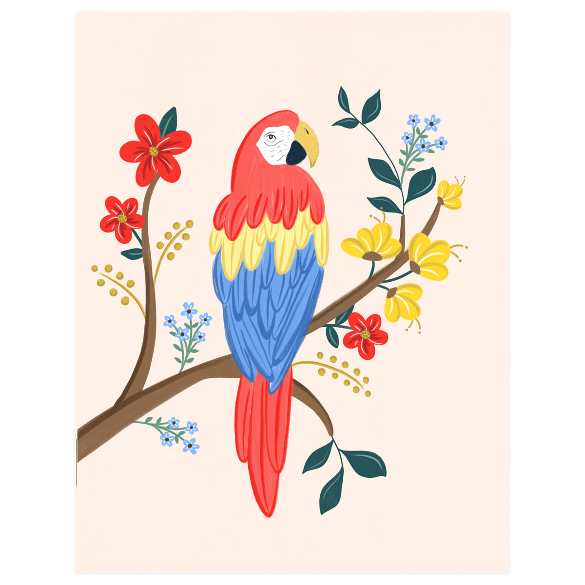 Macaw