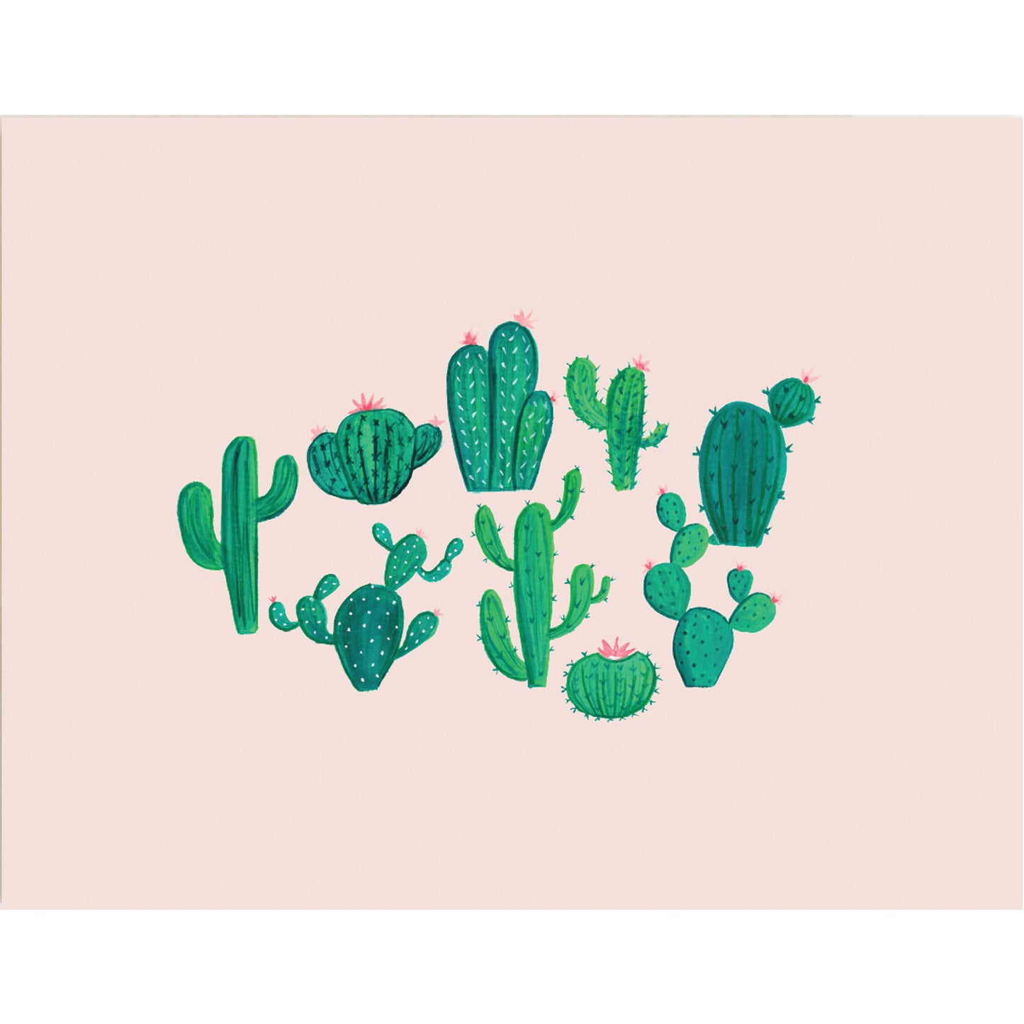 Cactuses