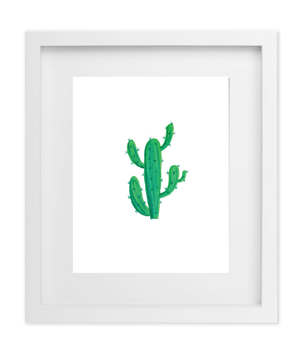 Pitaya Cactus