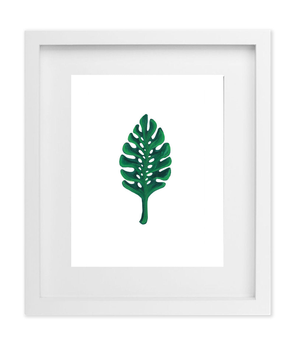 Monstera Leaf