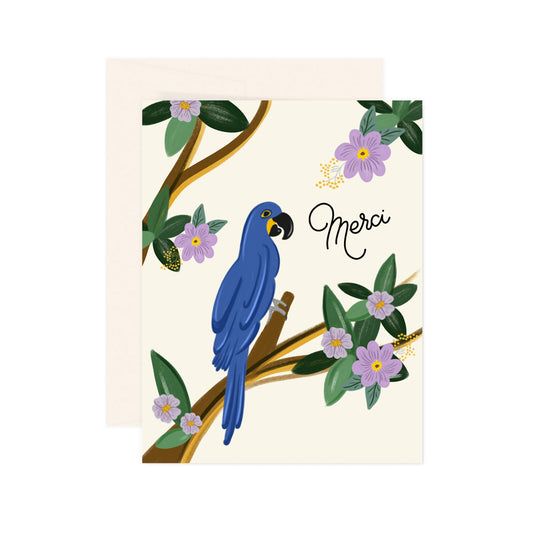 Blue Macaw - Merci