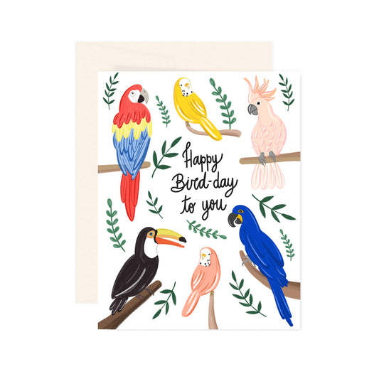 Birds-Day