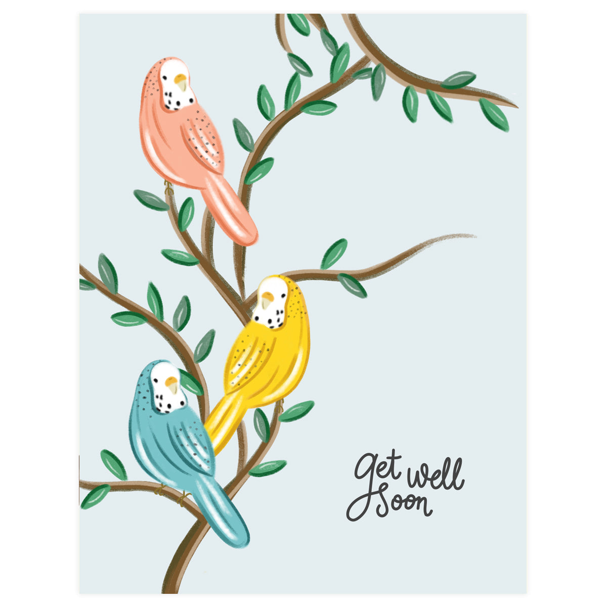 Parakeets - Get Well