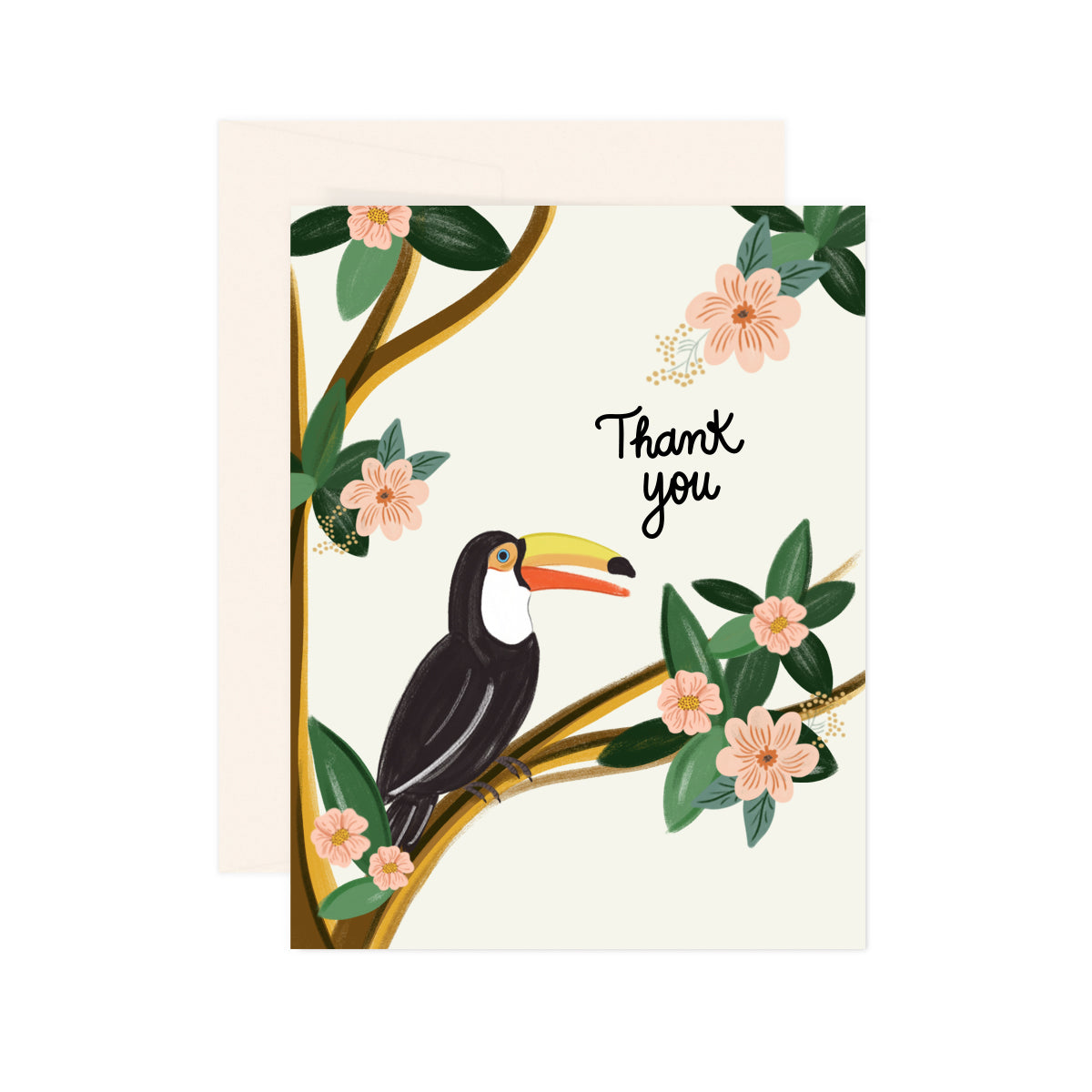 Toucan - Thank You