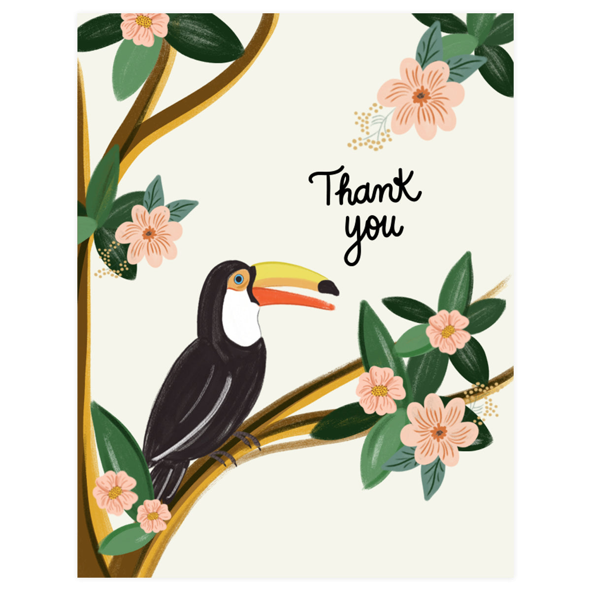 Toucan - Thank You