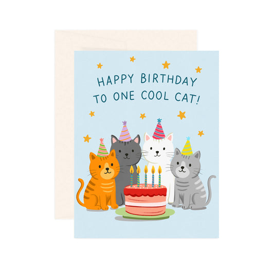 Cats Birthday Party