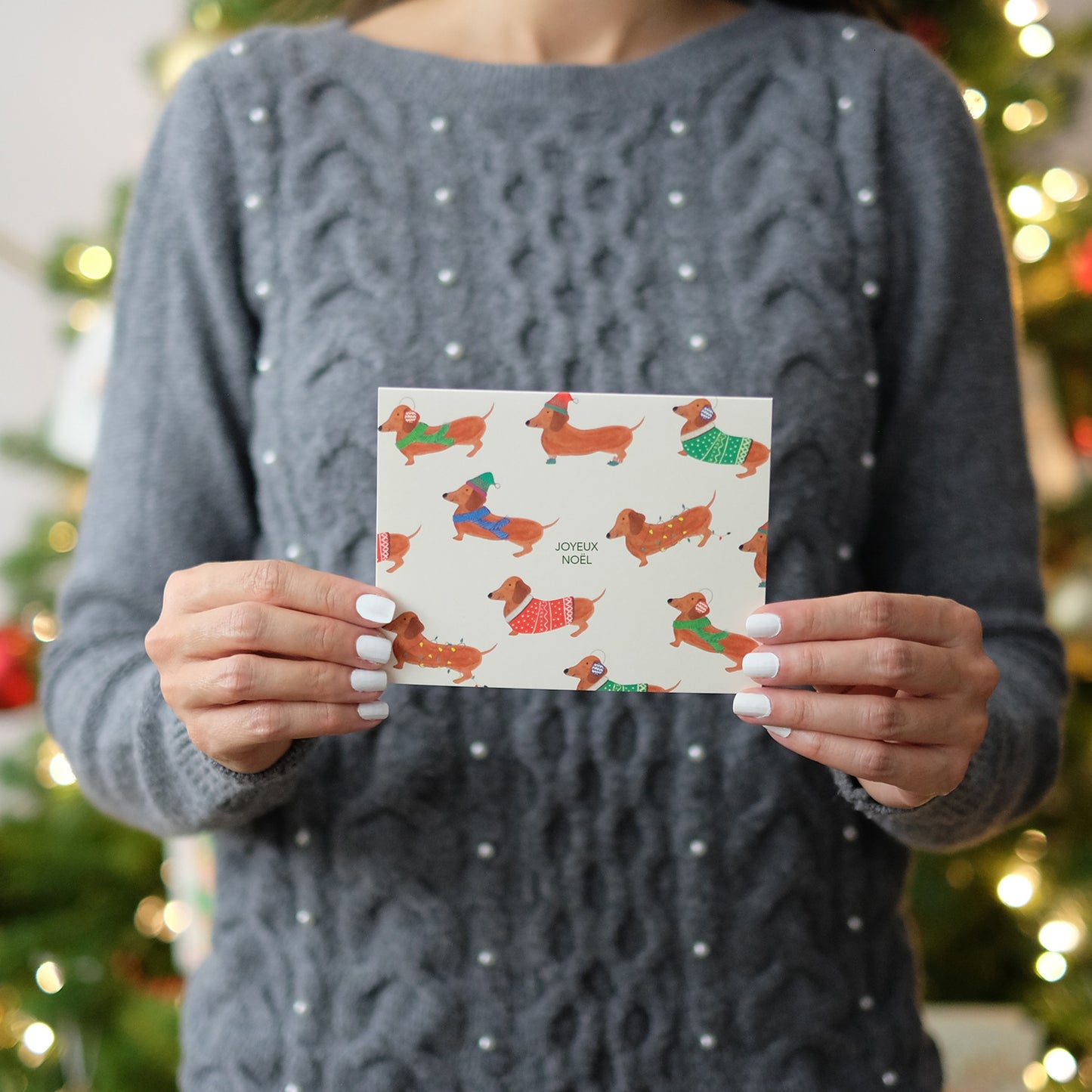 Christmas Dogs - Joyeux Noel
