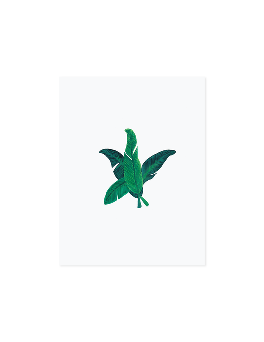 Banana Leaves