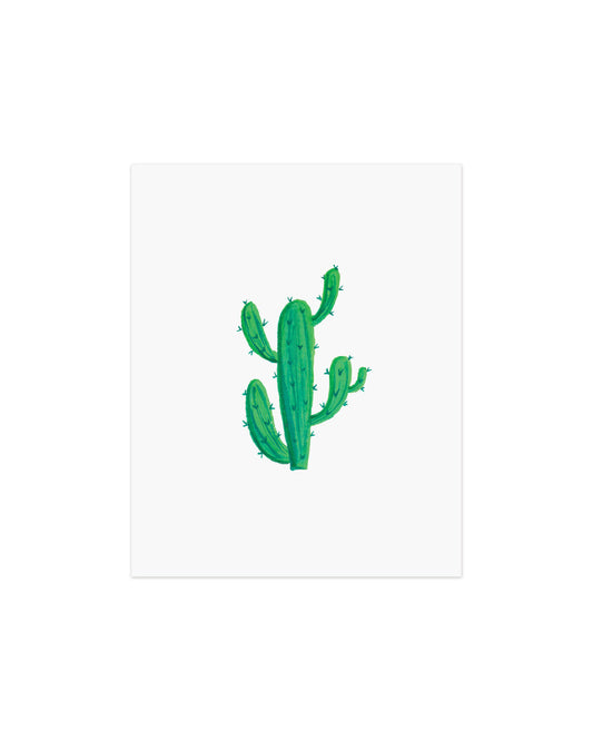 Pitaya Cactus