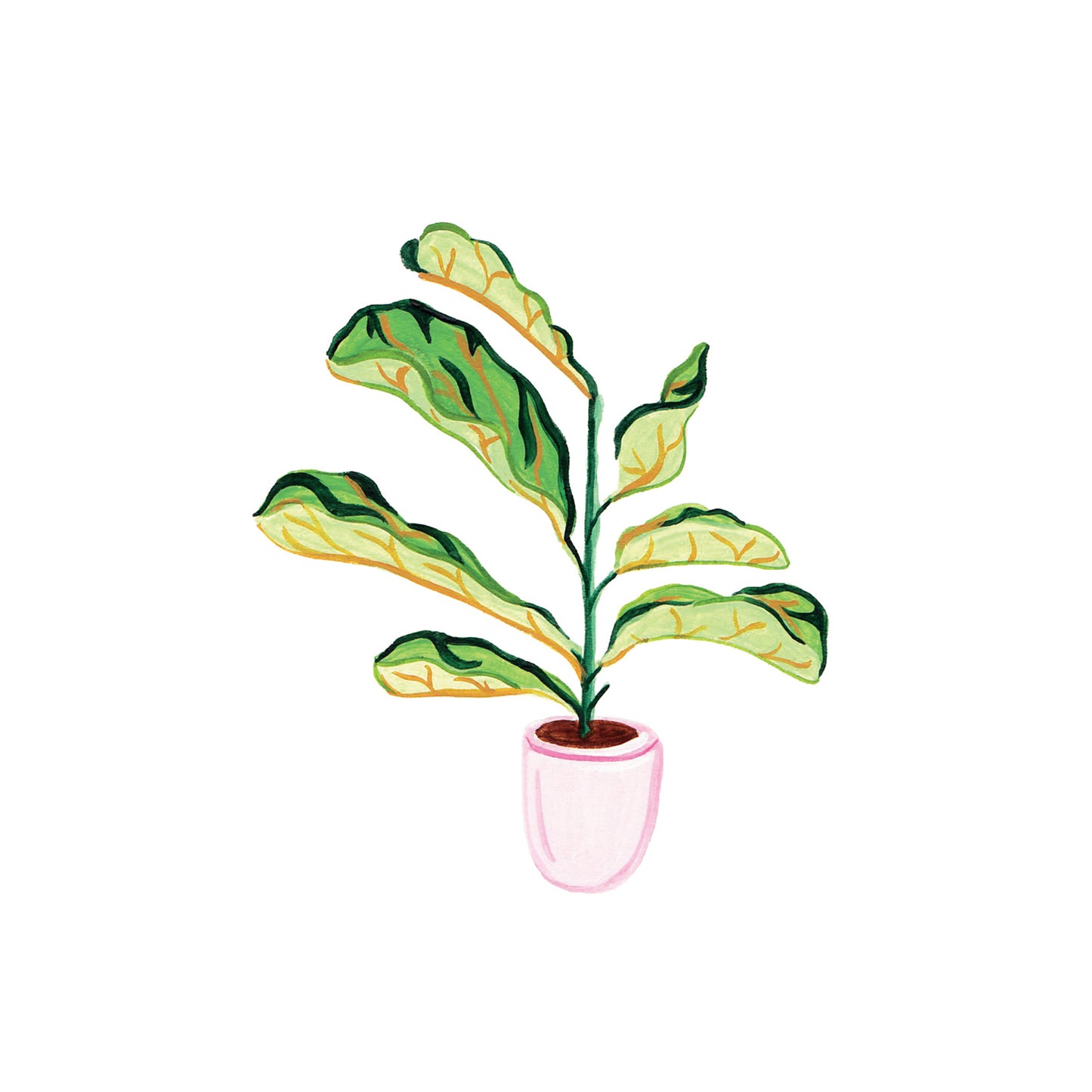 Plant Rose Vase