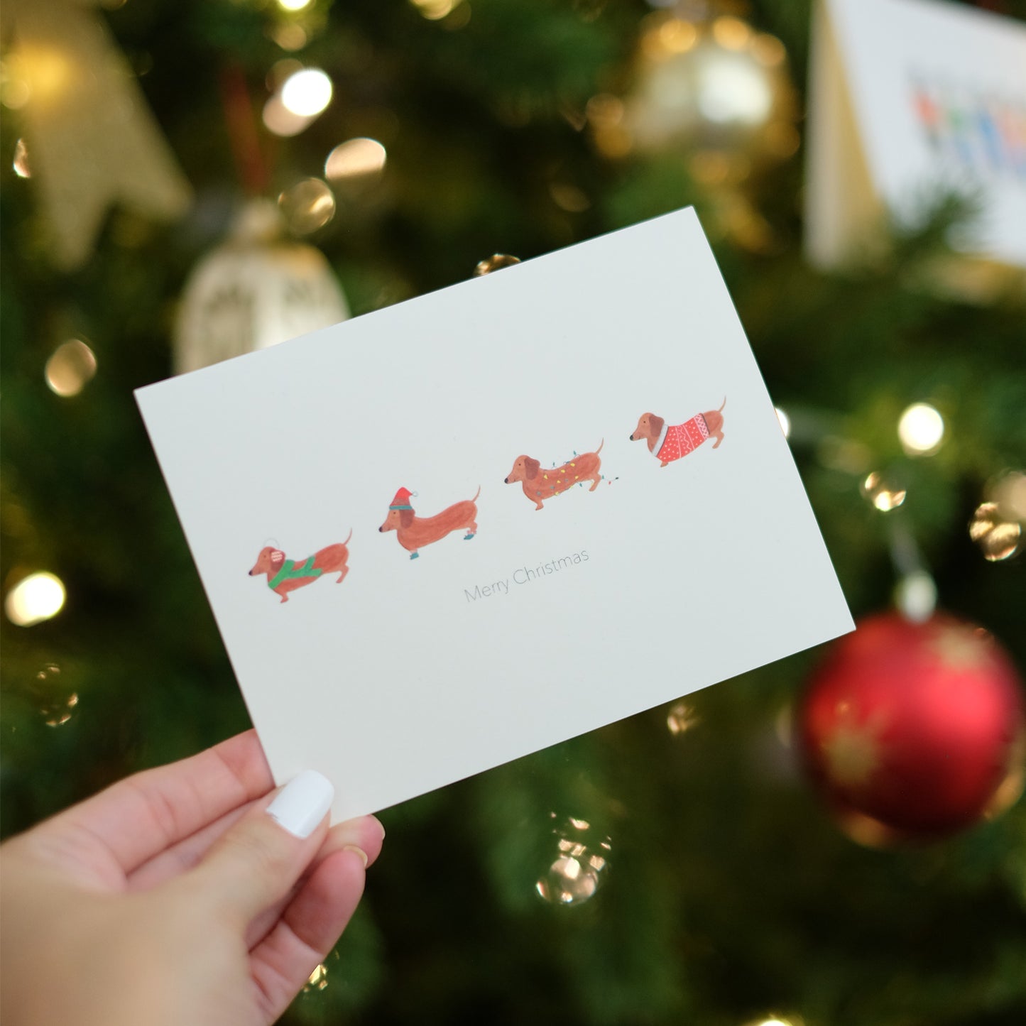 Sausage Dogs - Merry Christmas